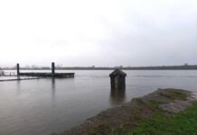 Proteção Civil alerta para possíveis cheias “mais severas dos últimos 25 anos” no Médio Tejo