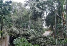 E‑REDES alerta para riscos na via pública e reforça apelo à população para manter distância de cabos e equipamentos elétricos