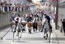 Chamusca: Semana da Ascensão 2026 já tem cartaz com nomes de várias gerações da música portuguesa