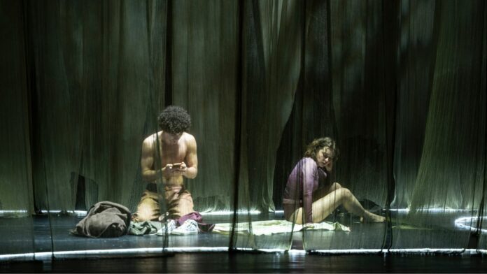 fotos-dentro-dsa-spagina-1