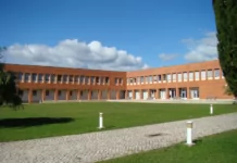 Politécnico de Tomar lança cursos breves na área da Proteção Civil