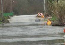 Proteção Civil desagrava alerta para nível azul mas mantém vias cortadas devido a cheias no Tejo