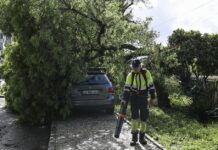 Ferreira do Zêzere continua com 66% do concelho sem eletricidade e escolas só deverão reabrir na quinta‑feira