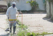 Entroncamento: Aplicação de produtos fitofarmacêuticos decorre entre 13 e 31 de março na Freguesia de São João Baptista