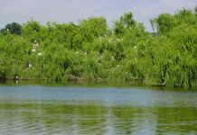 Torres Novas: Caminhada Rota do Paul nos dias 14 e 15 de Março