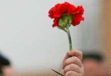 Concurso de Poesia “O 25 de Abril de 1974” desafia jovens do Entroncamento a dar voz à Liberdade