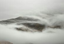 Da minha janela – A crónica de Gonçalo Serras: “A cidade e as serras”