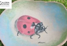 Entroncamento: Galeria Municipal acolhe exposição “Perfeito… Imperfeito…” de Andrea Lopes