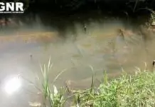 Golegã: GNR apreende 132 nassas na Zona de Proteção do Paul do Boquilobo