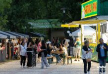 Torres Novas: Festas do Almonda 2026 levam Rui Veloso, Dillaz, Toy e Rodrigo Leão ao Jardim das Rosas
