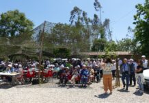 Entroncamento: Festa da Espiga reúne mais de 500 pessoas no Parque do Bonito em celebração da tradição e identidade comunitária