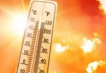 ULS Médio Tejo ativa Alerta Amarelo devido à previsão de temperaturas acima dos 35ºC