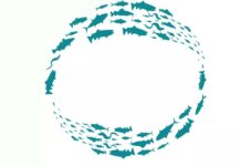 Alcanena: Rio Alviela recebe celebração do Dia Mundial da Migração dos Peixes com caminhada, ciência e sensibilização ambiental