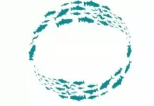 Alcanena: Rio Alviela recebe celebração do Dia Mundial da Migração dos Peixes com caminhada, ciência e sensibilização ambiental