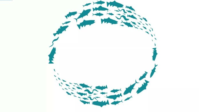 fishday_0