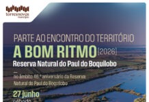 Torres Novas: Parte ao Encontro do Território – A Bom Ritmo na Reserva Natural do Paul do Boquilobo