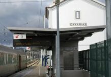 Homem morre atropelado por comboio na estação de Caxarias; circulação ferroviária condicionada na Linha do Norte