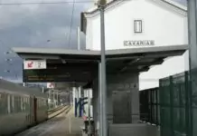 Homem morre atropelado por comboio na estação de Caxarias; circulação ferroviária condicionada na Linha do Norte