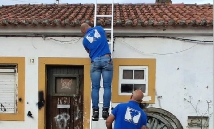 cortes entroncamento