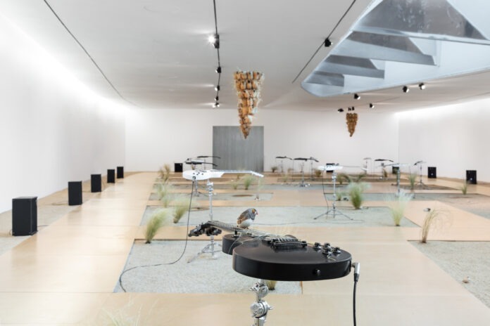Céleste Boursier-Mougenot-6