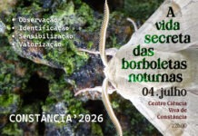 Constância promove sessão noturna dedicada à observação de borboletas no próximo sábado