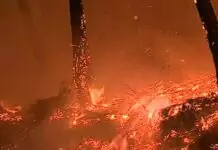 ANEPC alerta para perigo máximo de incêndio rural e divulga medidas preventivas