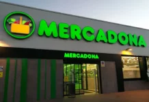 Bloco de Esquerda de Torres Novas critica possível instalação de nova superfície comercial e questiona futuro do Mercado Municipal