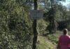 Torres Novas: Caminhada Trilhos da Barroca nos dias 5 e 6 de setembro