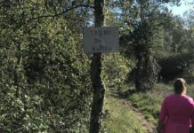 Torres Novas: Caminhada Trilhos da Barroca nos dias 5 e 6 de setembro