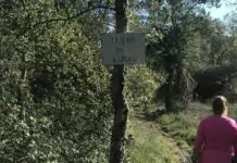 Torres Novas: Caminhada Trilhos da Barroca nos dias 5 e 6 de setembro