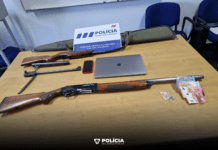 Detenção e Apreensão de Armas de fogo – Crimes de Violência Doméstica e posse de arma proibida em Abrantes