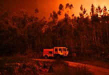 Incêndio de Mouriscas, em Abrantes, foi dado como controlado durante a madrugada; dois operacionais sofreram ferimentos ligeiros