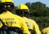 Brigadas de Sapadores Florestais do Médio Tejo intervieram em 25 hectares e 45 quilómetros de caminhos durante julho