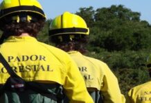 Brigadas de Sapadores Florestais do Médio Tejo intervieram em 25 hectares e 45 quilómetros de caminhos durante julho