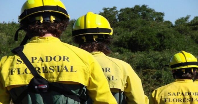 Sapadores-Florestais-1