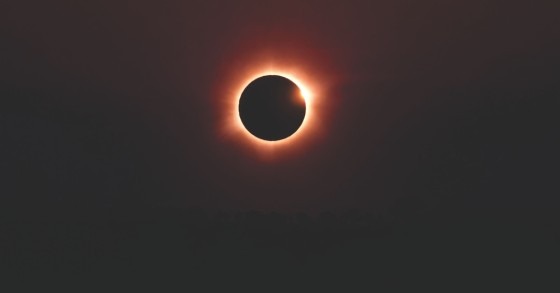 eclipse-imagem-floresta