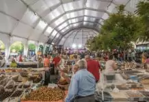 39.ª Feira Nacional dos Frutos Secos decorre de 1 a 5 de outubro no centro histórico de Torres Novas