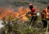 PJ detém suspeito de quatro incêndios florestais em Vale das Mós, Abrantes