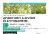 Biblioteca Municipal do Entroncamento inaugura exposição “Olhares sobre as Árvores do Entroncamento” a 19 de agosto