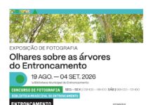 Biblioteca Municipal do Entroncamento inaugura exposição “Olhares sobre as Árvores do Entroncamento” a 19 de agosto