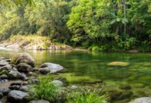 Movimento proTEJO critica contradição entre restauro fluvial e novos projetos de barragens na bacia do Tejo