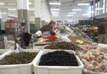 Entroncamento: Aumento faseado das taxas do Mercado Municipal aprovado por maioria