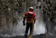 GNR alerta para risco extremo de incêndio rural e reforça medidas de prevenção
