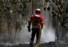 GNR alerta para risco extremo de incêndio rural e reforça medidas de prevenção