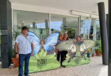 Município do Entroncamento assinalou Dia Internacional da Terceira Idade com passeio para utentes do Centro de Convívio