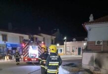 Incêndio destrói contentores na Golegã e leva Município a condenar ato de vandalismo