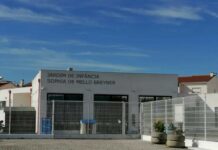 Entroncamento: Demolição da Escola Sophia de Mello Breyner arrancou esta terça-feira