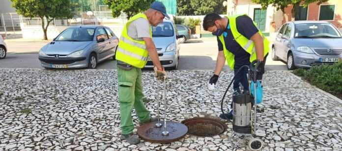 Pragas saneamento