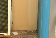 Entroncamento: Dejetos humanos encontrados com regularidade em zona habitacional