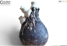 Entroncamento: Exposição de cerâmica “Morfologia do inútil” de Célia Macedo